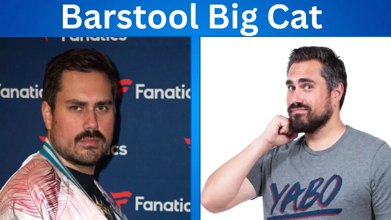 Barstool Big Cat